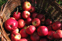Foto: Egleder