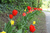 Foto: Gemeinde Büchen